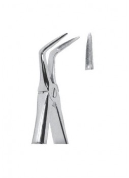 Extracting Forceps